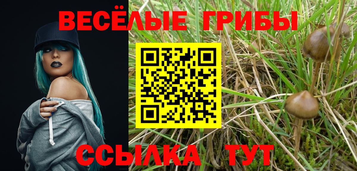 Псилоцибиновые грибы ЛСД Гулькевичи